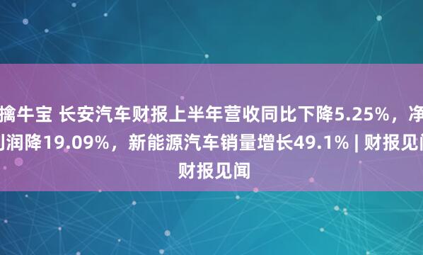 擒牛宝 长安汽车财报上半年营收同比下降5.25%，净利润降19.09%，新能源汽车销量增长49.1% | 财报见闻