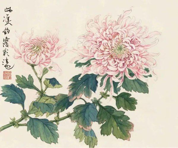 擒牛宝 陆抑非画菊花